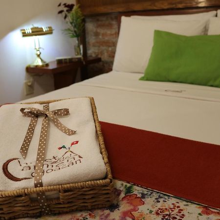 Chalet Del Carmen, Coyoacan Meksika Dış mekan fotoğraf