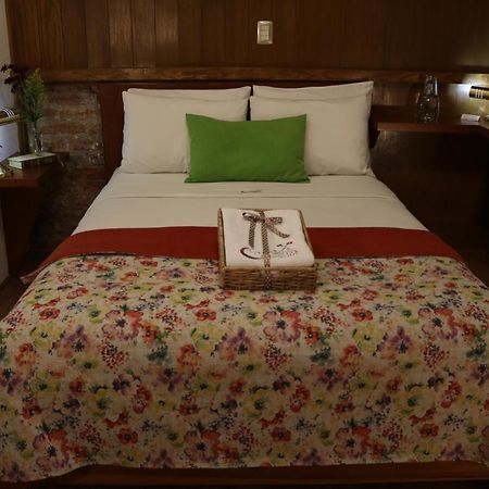 Chalet Del Carmen, Coyoacan Meksika Dış mekan fotoğraf