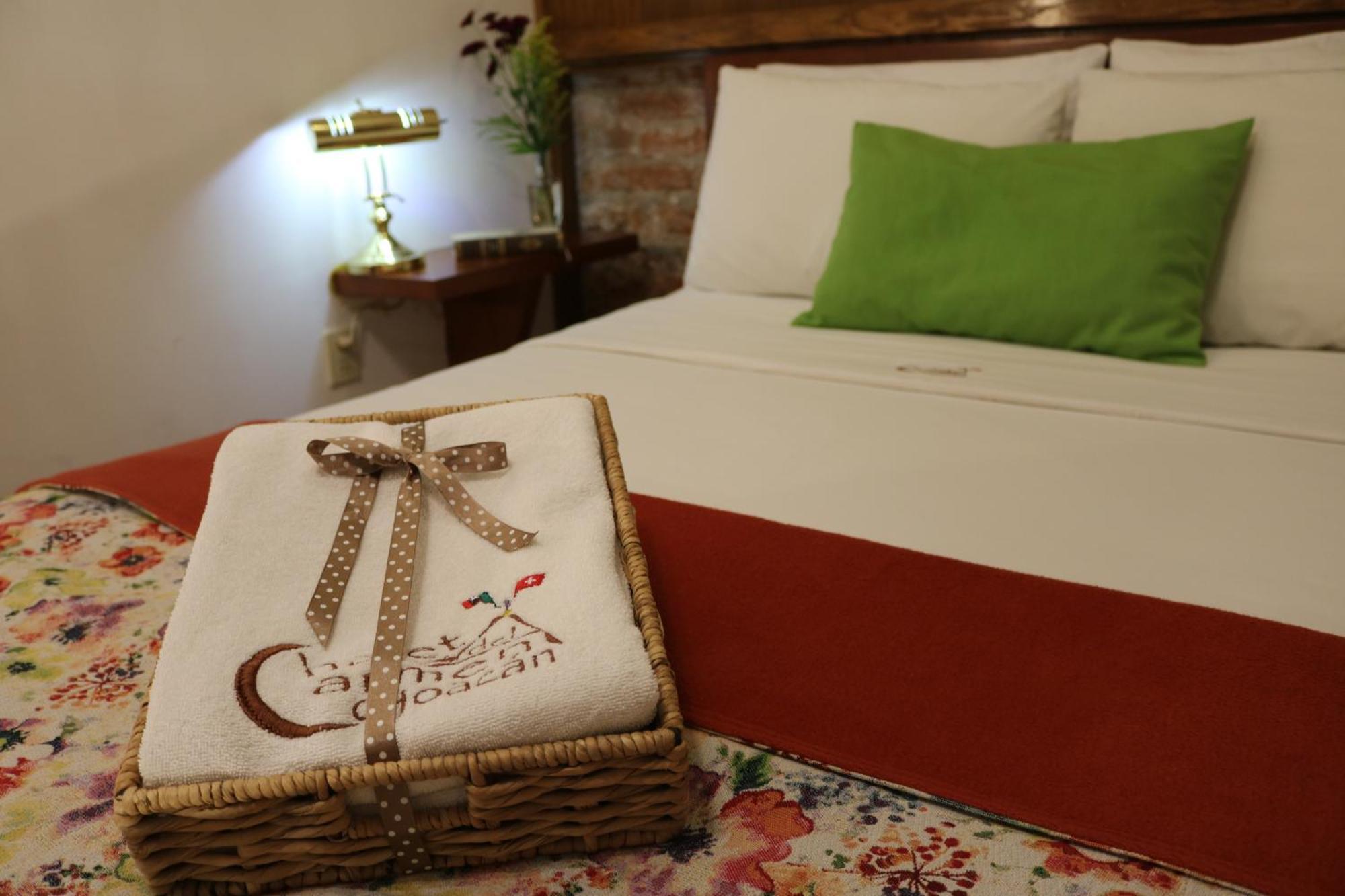 Chalet Del Carmen, Coyoacan Meksika Dış mekan fotoğraf