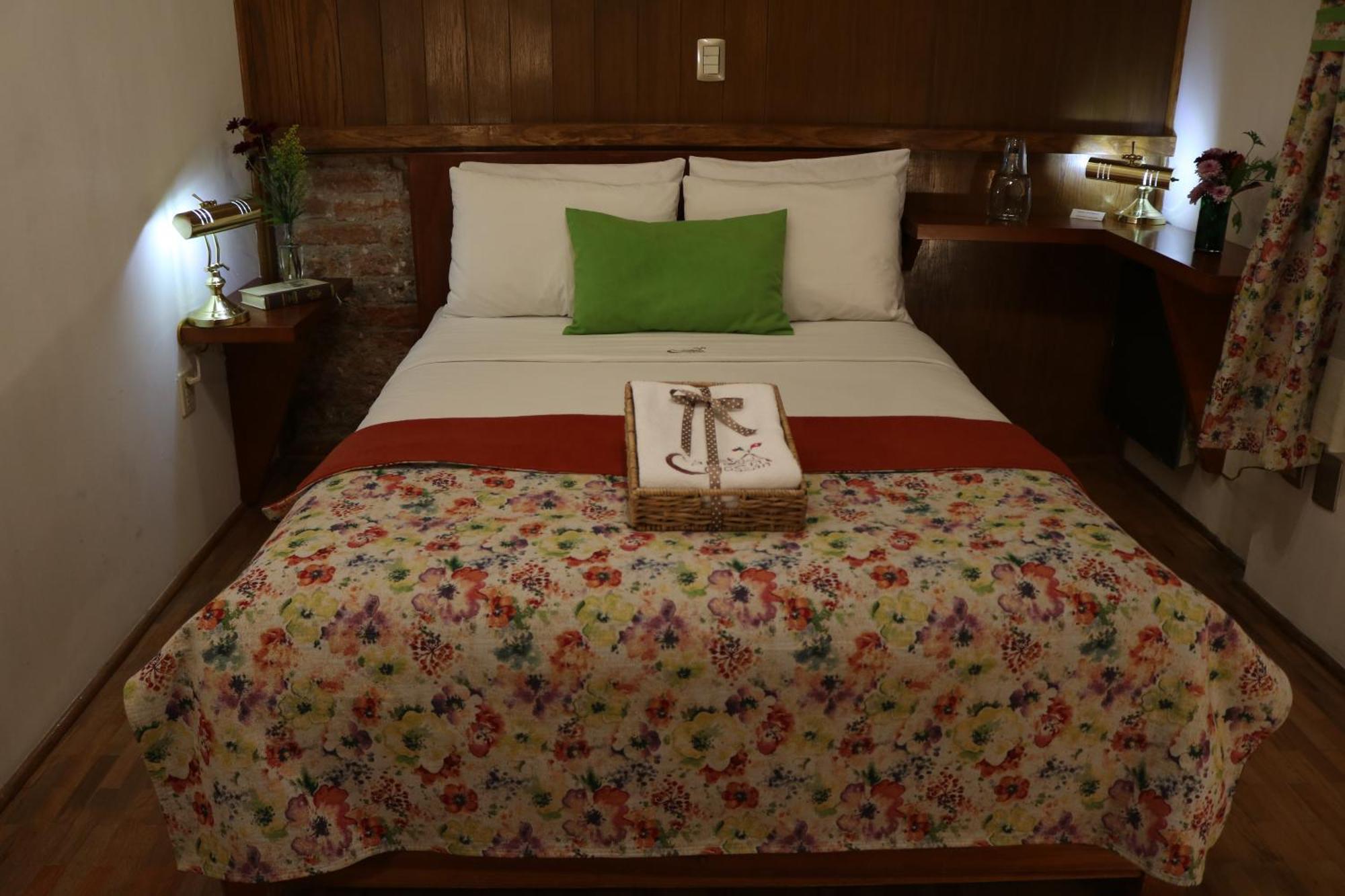 Chalet Del Carmen, Coyoacan Meksika Dış mekan fotoğraf