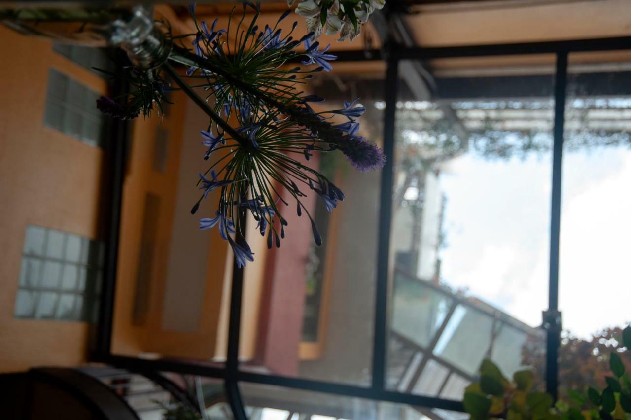 Chalet Del Carmen, Coyoacan Meksika Dış mekan fotoğraf