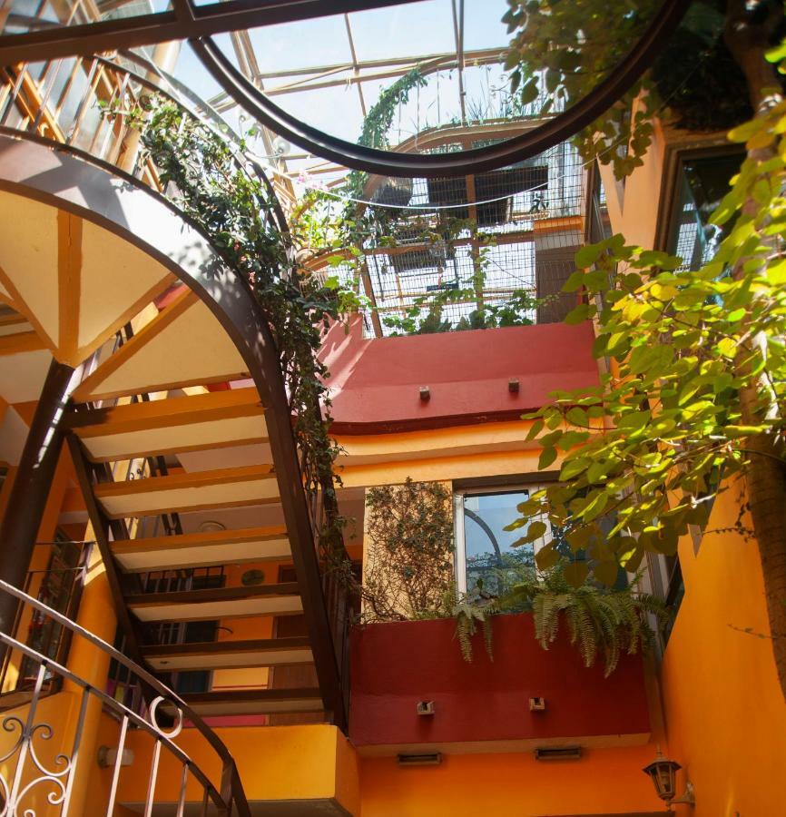 Chalet Del Carmen, Coyoacan Meksika Dış mekan fotoğraf